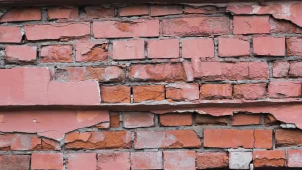 Mur Briques Texture Fond Rouge Papier Peint — Video