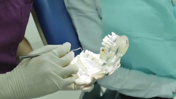 Zubař Vysvětluje Modelu Bolení Břicha Lékař Který Drží Zubní Přístroj — Stock video