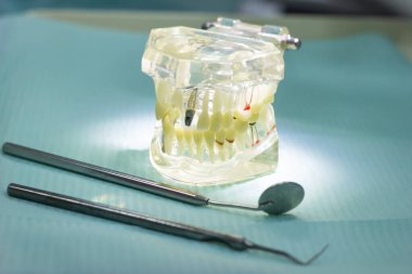 diş aletleri ekipmanları mockup modeli stomatoloji tıp