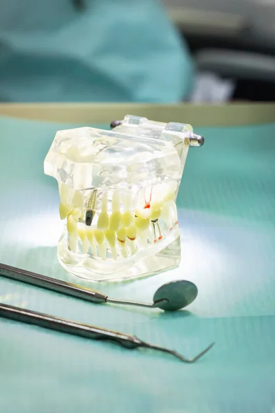 dental tools  equipment mockup model stomatology medicine