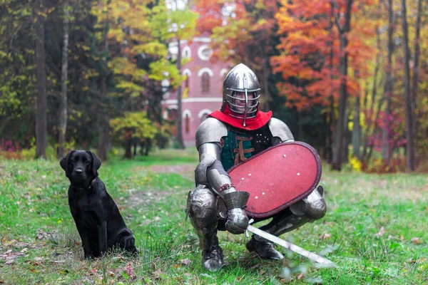 Knight Dog Black Labrador Guards Castle Fortress Medieval Protection Historical — ストック写真