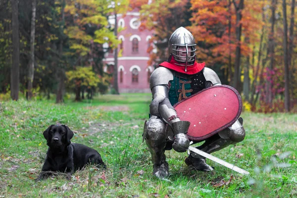 knight  and dog  black labrador guards a castle fortress medieval protection  historical