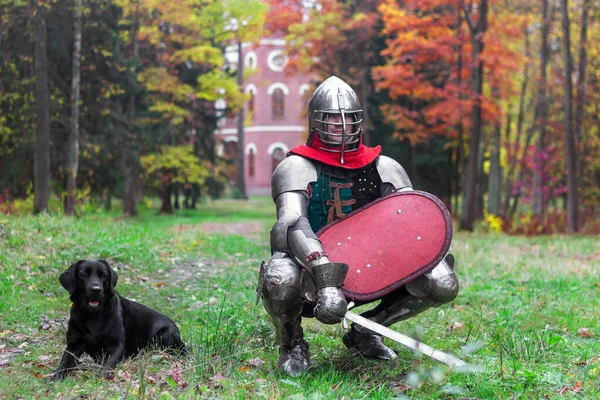 Knight Dog Black Labrador Guards Castle Fortress Medieval Protection Historical — ストック写真