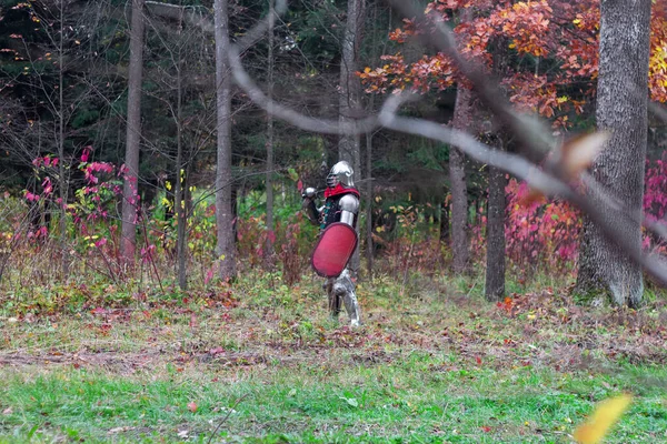 Cavaleiro Guarda Acampamento Floresta Proteção Medieval Histórico — Fotografia de Stock