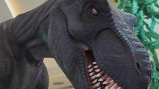 Tyrannosaurus mouth t-rex huge dinosaur cretaceous large — Stock Video