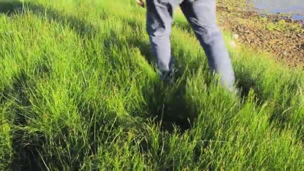 Reiziger Stappen Verkent Maagd Gras Natuur Wandeling Reis Zomer — Stockvideo