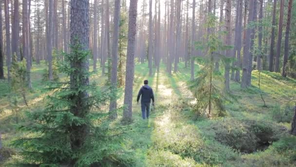野生动物摄影师在阳光下的森林受到自然旅行照片博客的启发 — 图库视频影像
