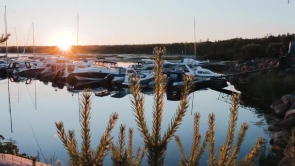 Jachtclub Parkeerhaven Bij Zonsondergang Zee Reis Levensstijl Landschap — Stockvideo