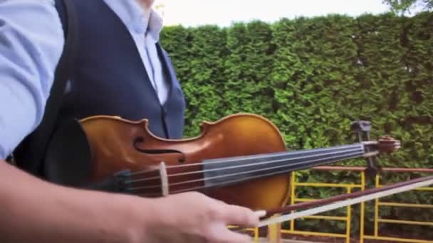 Violinista joven camina por el parque en busca de inspiración — Vídeo de stock