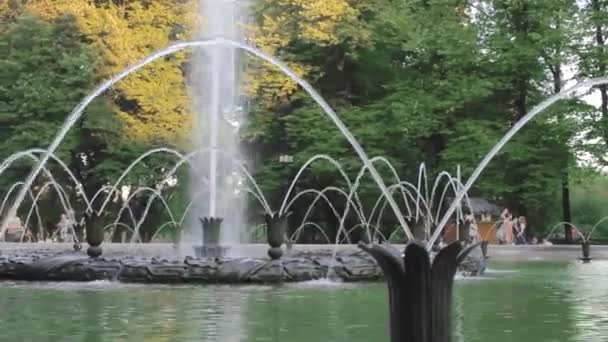 Fonte no parque jet água bolha violetas jardim — Vídeo de Stock