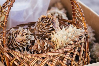 Sepet grubunda çam kozalağı arka planda xmas makro açık hava kompozisyonu