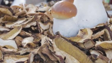 Kurutulmuş beyaz mantarlar bir çanta içinde diyet yemeklerinde vejetaryen bitkisel ilaçlar