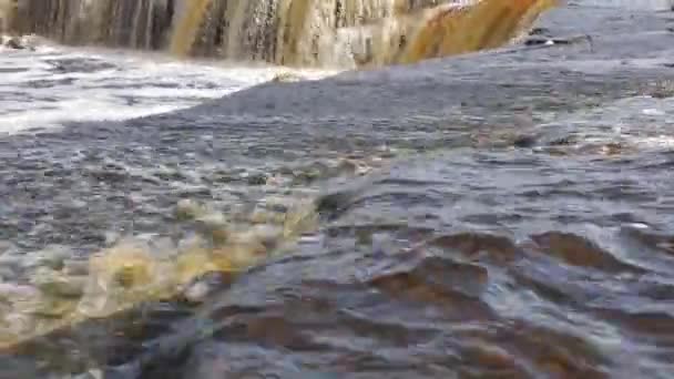 Rzeka Wypływa Brzegów Strumieni Powierzchni Skał Wodnych — Wideo stockowe