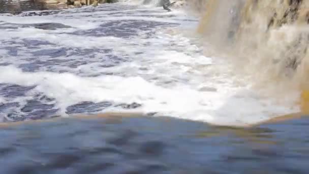 Flod Kommer Från Stränderna Bäckar Vatten Berggrunden — Stockvideo