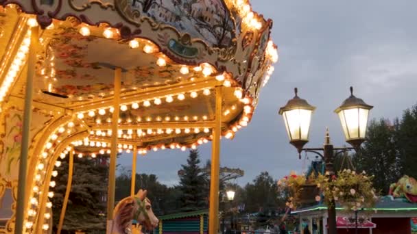 Carrousel Pretpark Rit Gloeiende Verlichte Nacht Schieten Vlieg — Stockvideo