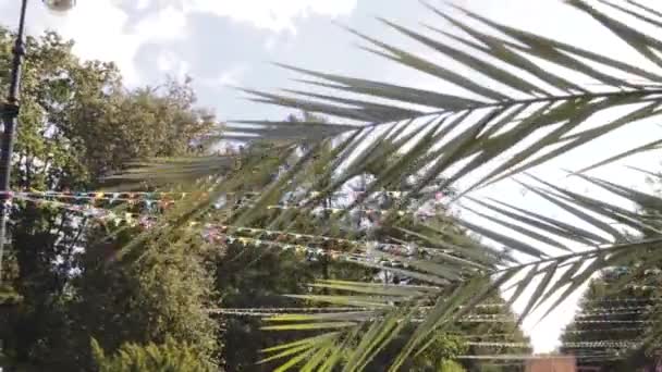 Branches Palmier Sur Fête Des Drapeaux Couleur Événement Été — Video