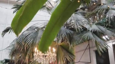 Kristal doğal manzara ile süslenmiş klasik avize pahalı mum. 