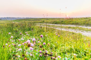 Kırsal yol gün batımına doğru gidiyor. Tarımsal gündoğumu manzarası.