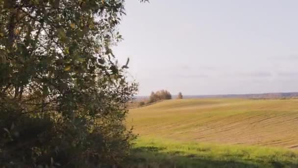 Kuperat Landskap Fält Jordbruk Natur Jordbruksmark Land Vår Vacker — Stockvideo