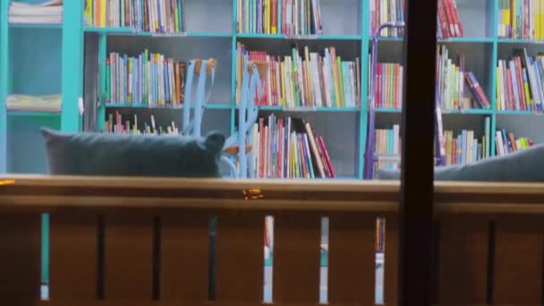 Scaffalature Libreria Nella Biblioteca Notturna Pubblica Istruzione Conoscenza Interna Lettura — Video Stock