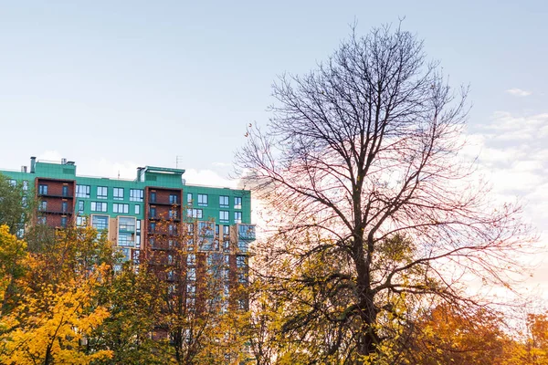 풍경과 하이테크 건축의 누르스름 나뭇잎이 공원에 떨어진다 — 스톡 사진