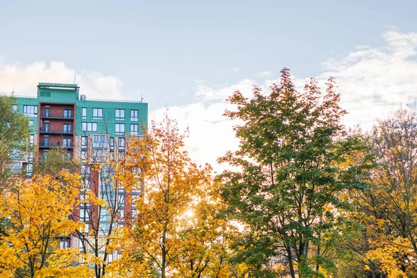 Outono Paisagem Urbana Construção Hightech Architecture Folhas Amareladas Árvores Caem — Fotografia de Stock