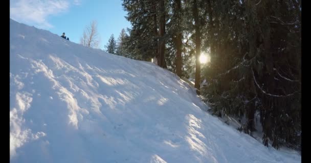 Mädchen Spielt Winter Schnee Einem Sonnigen Tag — Stockvideo