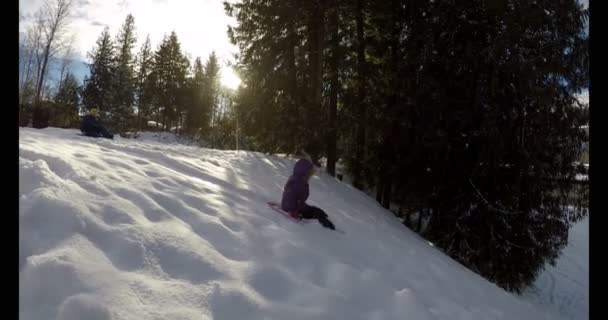 Meisje Spelen Sneeuw Winter Een Zonnige Dag — Stockvideo