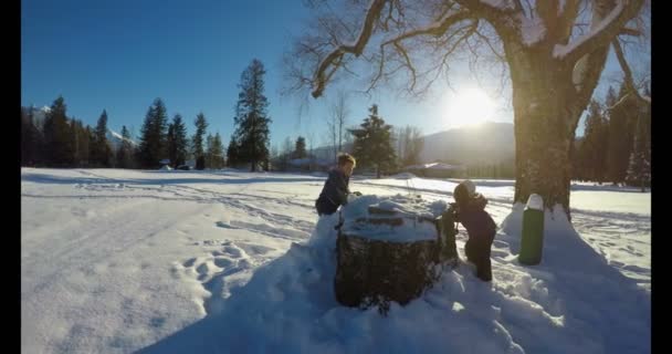 孩子们在冬天在雪中玩耍 阳光明媚的一天4K — 图库视频影像