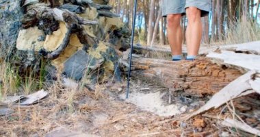 Güneşli bir günde 4 k orman ahşap bir günlüğüne üzerinde yürüme erkek uzun yürüyüşe çıkan kimse