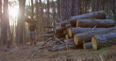 Güneşli bir günde 4 k ormandaki ahşap günlük taşıyan erkek logger