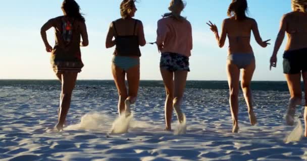 Volleyballerinnen Haben Spaß Strand — Stockvideo