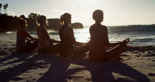 Жінки Волейболістки Виконують Йогу Разом Пляжі — стокове відео