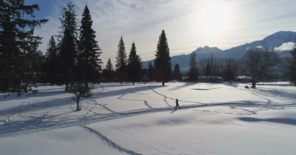 雪地风景4K 女子慢跑的无人机拍摄 — 图库视频影像