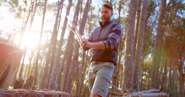 Hombre Leñador Cortando Madera Con Hacha Bosque Día Soleado — Vídeo de stock