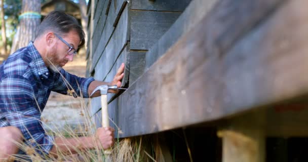 Volwassen Man Hameren Houten Plank Met Hamer — Stockvideo