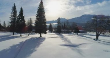 Güzel dağlar ve iğne yapraklı orman günbatımı 4 k robot