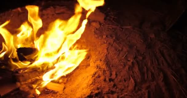 Adam Yemek Yemek Ormanda Kamp Ateşi Üzerinde Gece — Stok video
