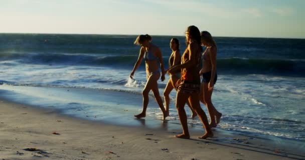 Γυναικείο Βόλεϊ Παίκτες Έχοντας Διασκέδαση Στην Παραλία — Αρχείο Βίντεο