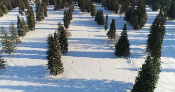 Luchtfoto Van Wandelaar Wandelen Een Besneeuwde Landschap — Stockvideo