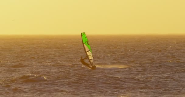 Mannelijke Surfer Windsurfen Het Strand Schemering — Stockvideo
