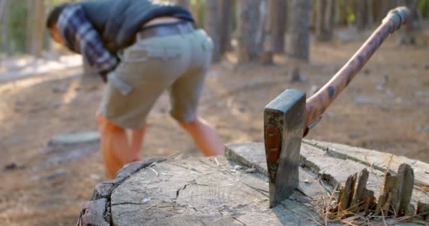 Средняя Секция Мужского Лесоруба Помещает Деревянное Бревно Багажник — стоковое видео