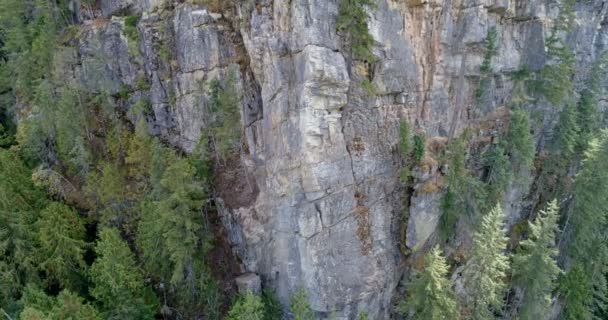 Drone Disparo Montaña Rocosa Con Bosque Verde Día Soleado — Vídeos de Stock