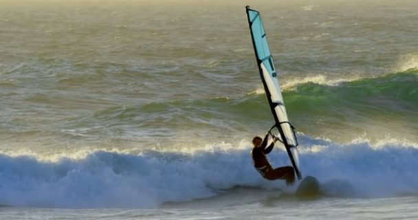 Surfeur Masculin Planche Voile Sur Plage Par Une Journée Ensoleillée — Video