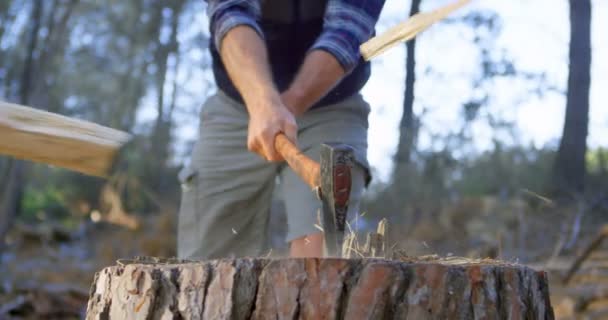 Manliga Logger Hugga Ved Med Yxa Skogen Solig Dag — Stockvideo