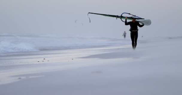 Surfista Masculino Carregando Windsurfista Praia Entardecer — Vídeo de Stock