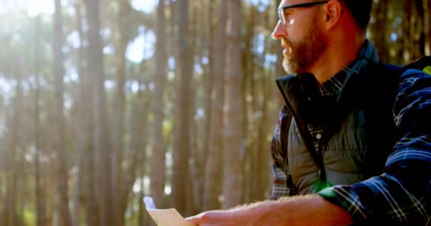 Male Hiker Sitting Map Forest Sunny Day — Stock Video