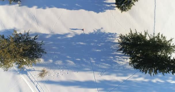 Aerial Hiker Walking Snowy Landscsape — Stock Video