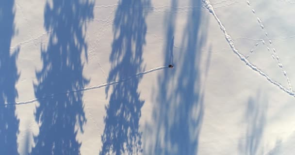 Aérien Randonneur Marchant Sur Paysage Enneigé — Video