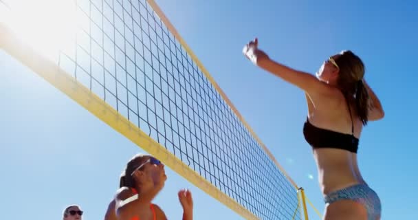 Жінки Які Грають Волейбол Пляжі — стокове відео